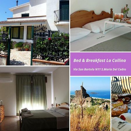 La Collina Bed & Breakfast Санта Мария дел Чедро Екстериор снимка